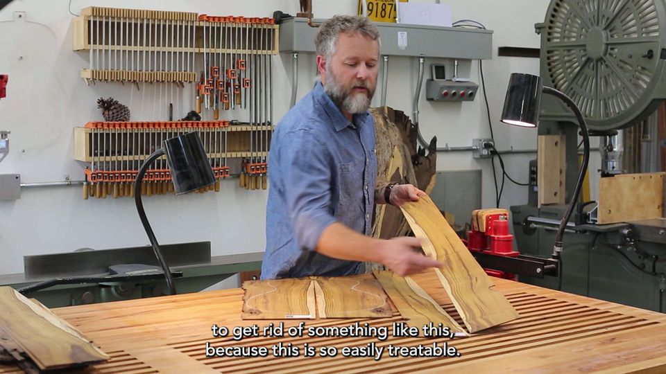 Desert Ironwood Set 376